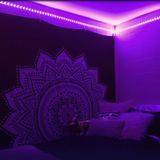 LedMax™ - Decoração Led